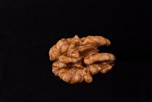 Walnuss_Kern_45----Kopie.jpg
