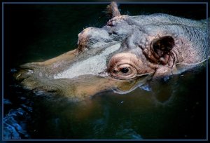 Bild - 4.jpg Bild - 4.jpg