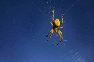 20111120-133849-7386-1 Kopie.jpg