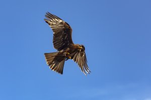 20121020-142631-6599-1 Kopie.jpg