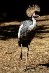 20120528-091715-4236-1 Kopie.jpg