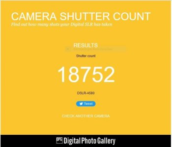 shutter count.jpg