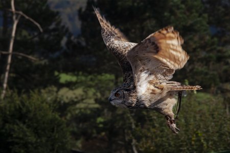 20121020-141253-6577-1 Kopie.jpg