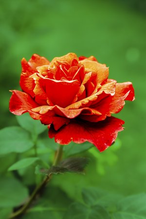 20150524-144210-0019-grün Kopie.jpg