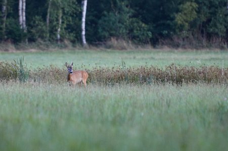 _MG_0248.jpg _MG_0248.jpg