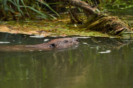 IMG_0409.jpg IMG_0409.jpg