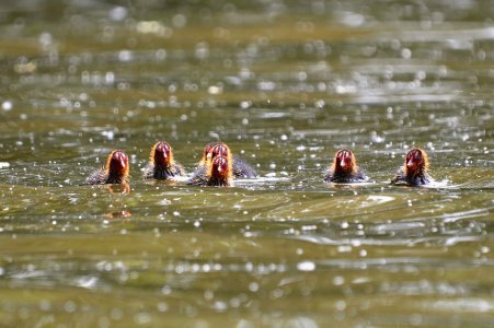 IMG_7160.jpg IMG_7160.jpg