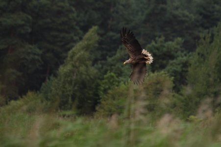 IMG_3648.jpg IMG_3648.jpg