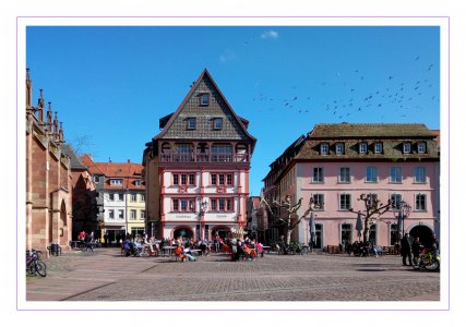 scheffelhaus.jpg scheffelhaus.jpg