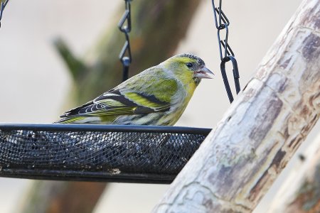 sigma120-400.jpg sigma120-400.jpg