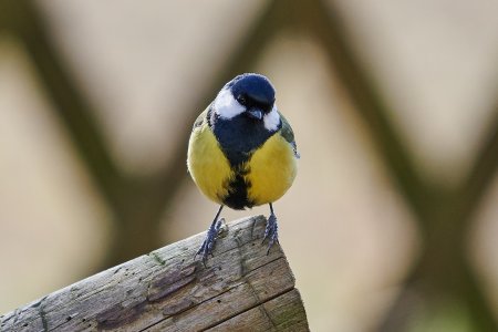 sigma120-400_1.jpg sigma120-400_1.jpg