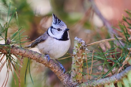 sigma120-400_2.jpg sigma120-400_2.jpg