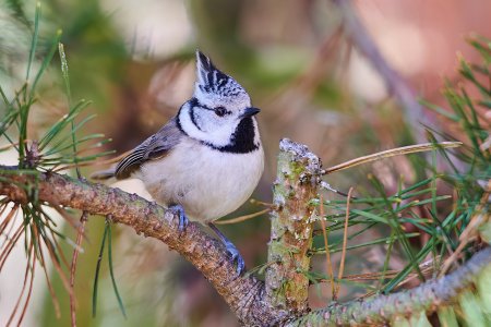 sigma120-400_2-DeNoiseAI-low-light.jpeg sigma120-400_2-DeNoiseAI-low-light.jpeg