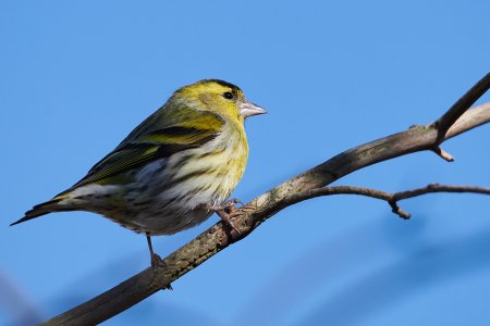 sigma120-400_3.jpg sigma120-400_3.jpg