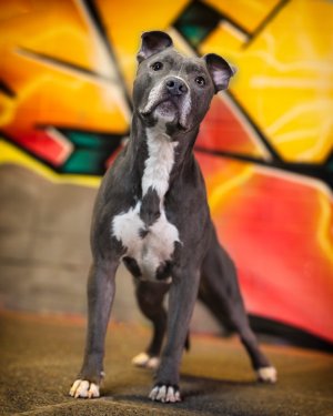 Bild 05.03.22 um 20.15.jpg