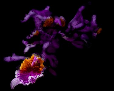 20120430-143132-4085-neu1 Kopie.jpg