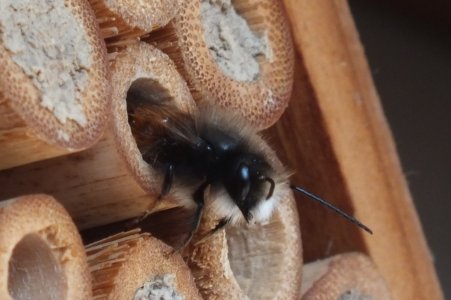 DSCF4449a.jpg DSCF4449a.jpg