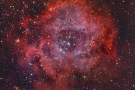 NGC 2244 Rosetten-Nebel 750mm268min.jpg
