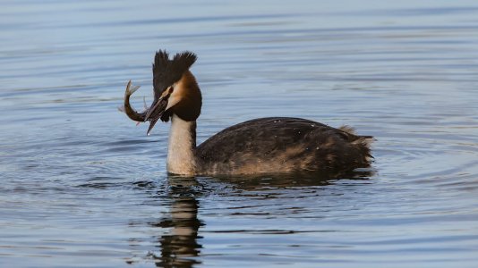 Cloppenburg Surfsee_3V5A3935()-20220312_02.jpg