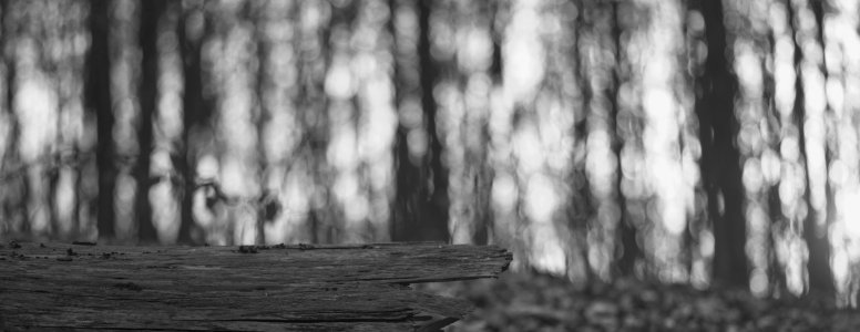 Hohe Mark 2021 Februar 2.jpg