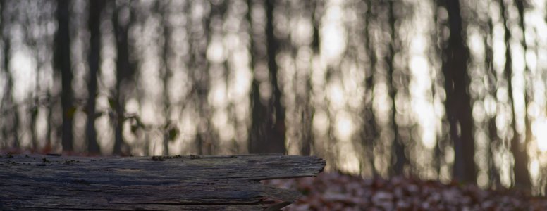 Hohe Mark 2021 Februar 3.jpg