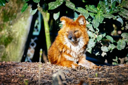 comp_SDIM8902.jpg comp_SDIM8902.jpg