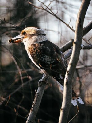 comp_SDIM8906.jpg comp_SDIM8906.jpg