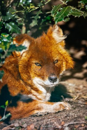 comp_SDIM8923.jpg comp_SDIM8923.jpg