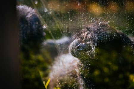 comp_SDIM8991.jpg comp_SDIM8991.jpg