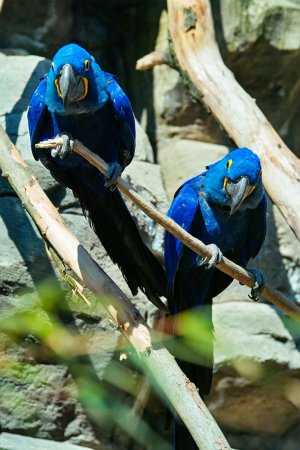 comp_SDIM8998.jpg comp_SDIM8998.jpg