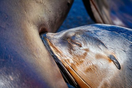 comp_SDIM9021.jpg comp_SDIM9021.jpg