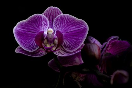 20220328-164353-0224-V3 Kopie.jpg