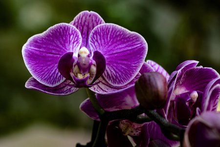 20220328-164353-0224-V2 Kopie.jpg