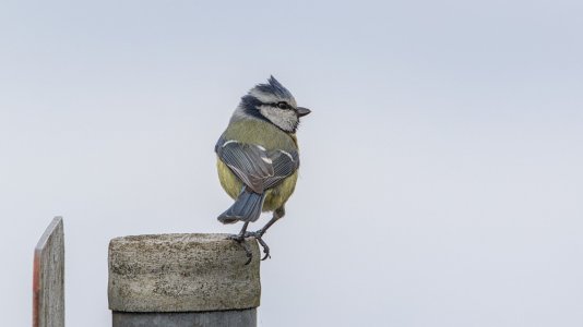 Polder Lüsche_3V5A5524()-20220403.jpg