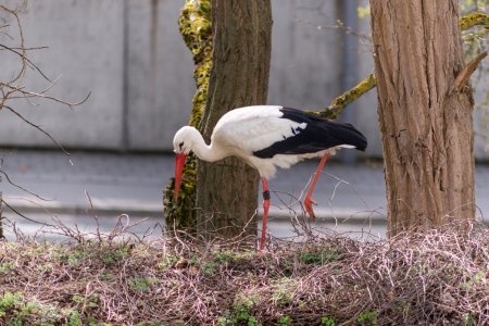 DSC_3979.jpg DSC_3979.jpg