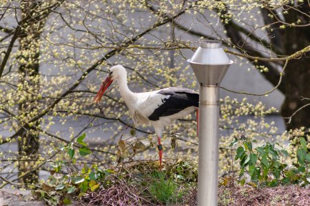 DSC_3982.jpg DSC_3982.jpg