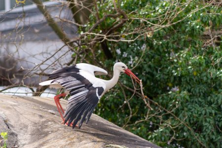 DSC_3986.jpg DSC_3986.jpg