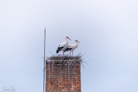 DSC_3943.jpg DSC_3943.jpg