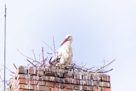 DSC_3993.jpg DSC_3993.jpg