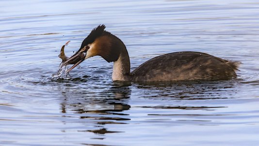 Cloppenburg Surfsee_3V5A3930()-20220408.jpg