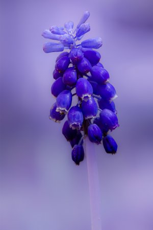 20220410-143009-0180-1 Kopie.jpg