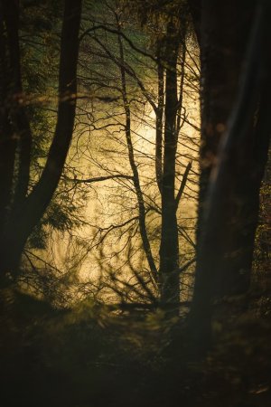 comp_SDIM9424.jpg comp_SDIM9424.jpg