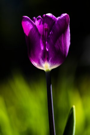 20220417-134923-0326-1 Kopie.jpg