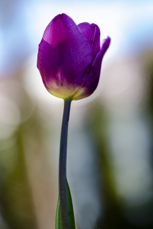 20220418-153150-0003-3 Kopie.jpg