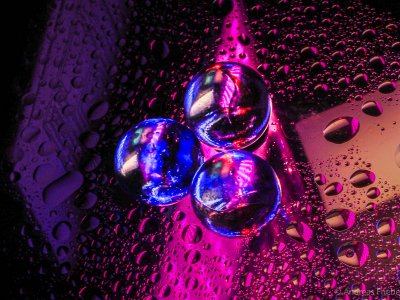 MRK20294.jpg MRK20294.jpg