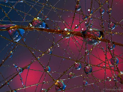 MRK20551-Bearbeitet.jpg MRK20551-Bearbeitet.jpg