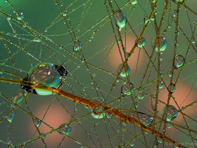 MRK20630.jpg MRK20630.jpg