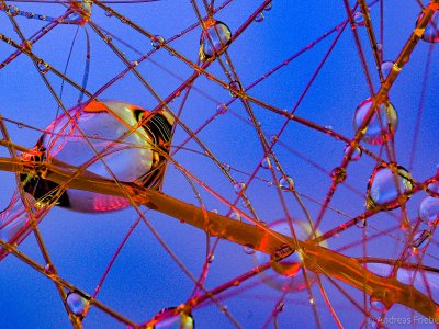 MRK20774.jpg MRK20774.jpg