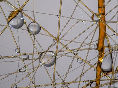 MRK20790.jpg MRK20790.jpg