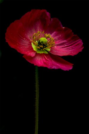 20220430-134626-0342-1 Kopie.jpg